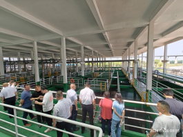 南宫NG28相信品牌的实力网址(中国)官网