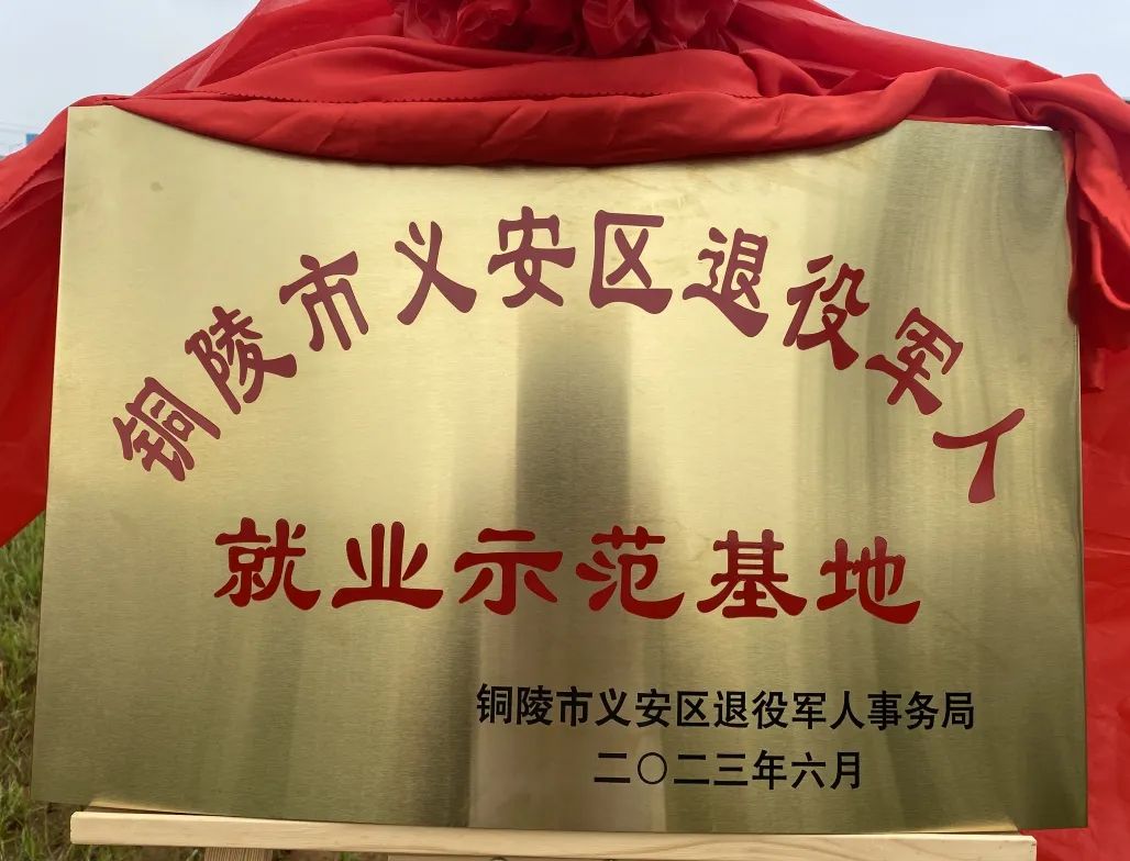 南宫NG28相信品牌的实力网址(中国)官网