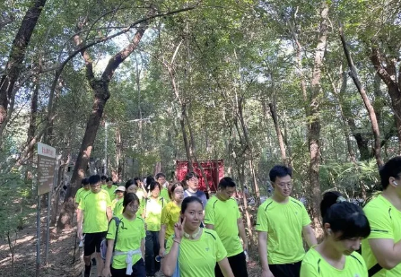 南宫NG28相信品牌的实力网址(中国)官网